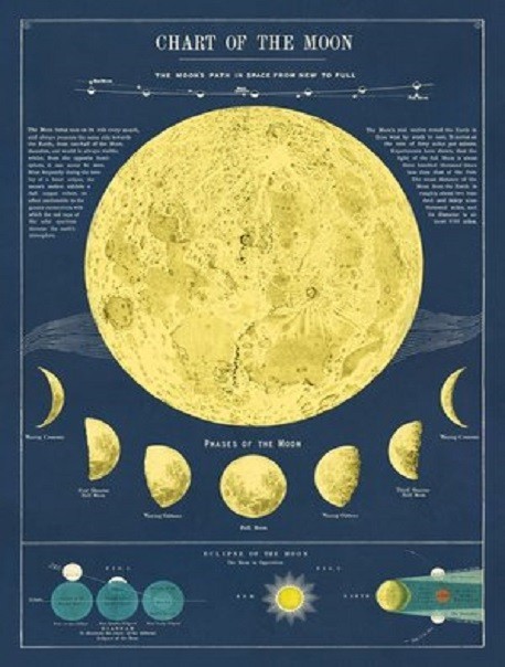 Affiche- chart of the moon