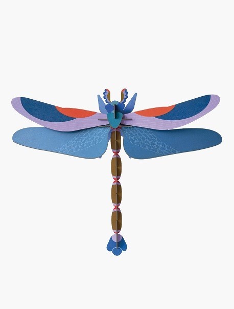 Giant-Blue dragonfly