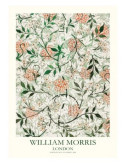 William Morris -jasmine