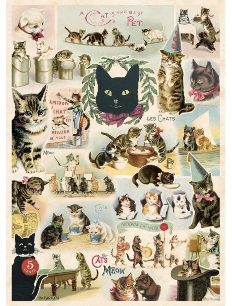 Affiche Chat Vintage Quai Boheme