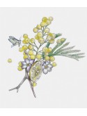 Bougie parfumée - Fleur de Mimosa