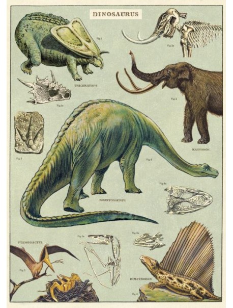 Affiche Dinosaures