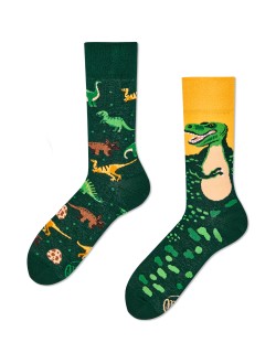 Chaussettes The Dinosaurs