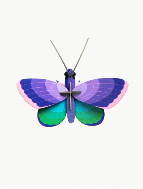 Blue Coper Butterfly